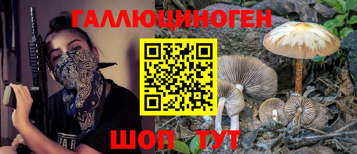 Ноябрьск  Галлюциногенные грибы прущие грибы  Галлюциногенные грибы ЛСД  Вход с VPN 