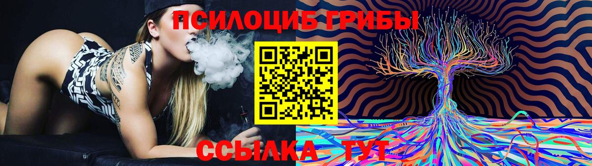 Псилоцибиновые грибы Psilocybe Ноябрьск